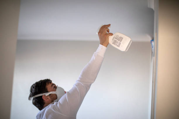 Best Mold Cleaning Services  in Vineland, NJ